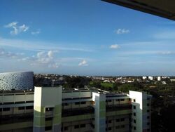 Blk 550 Ang Mo Kio Avenue 10 (Ang Mo Kio), HDB 3 Rooms #577904091